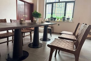 Un comedor con una mesa larga y sillas, una planta en maceta y una ventana con plantas en el alféizar.