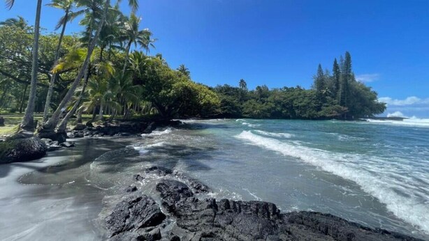 A tropical beach with palm trees, a rocky shoreline, and clear blue water. - Gorgeous Gated Retreat Near Ocean w/ Pool, Deck, Firepit on 1+ acre! (Keaau)