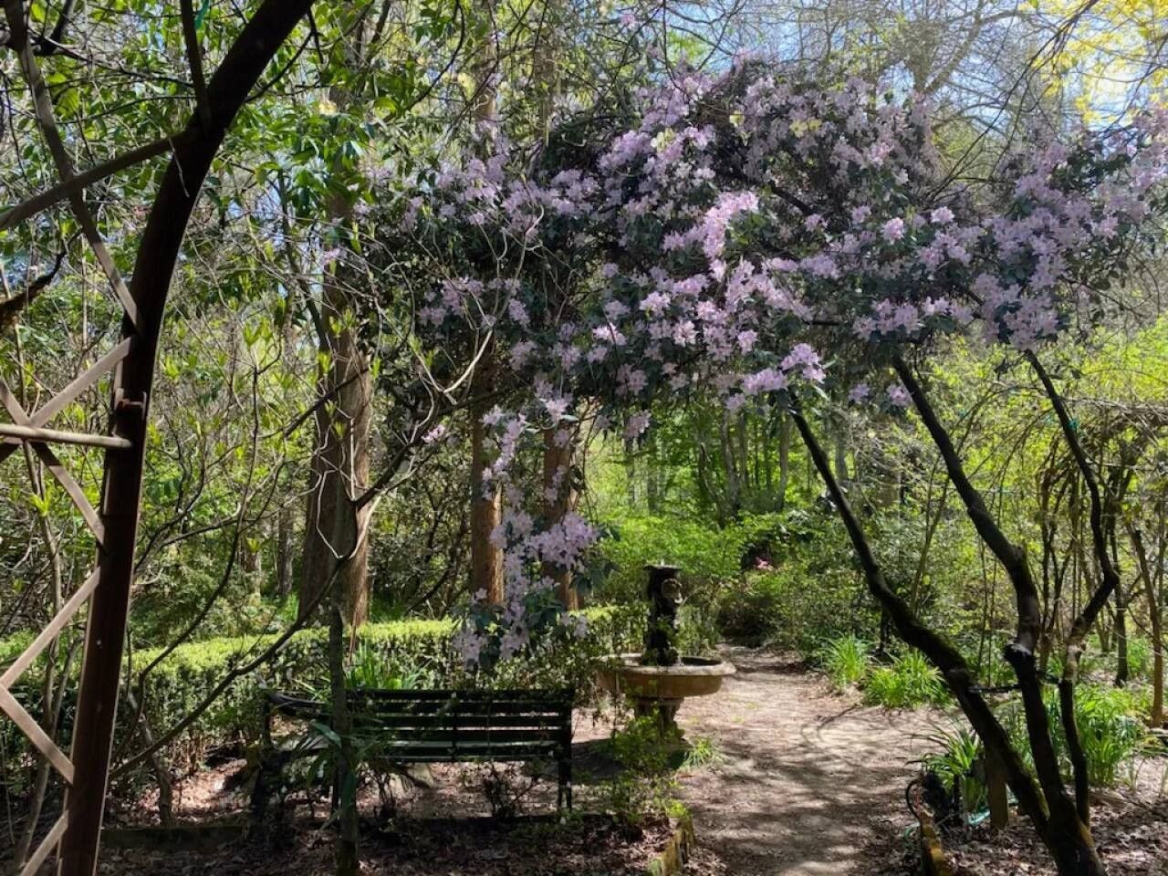 A pathway leading through a garden with a bench and a fountain.