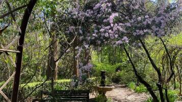 A pathway leading through a garden with a bench and a fountain.