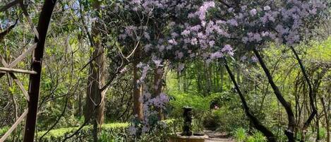 A pathway leading through a garden with a bench and a fountain.