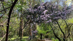 Camí de jardí amb una banca i una font, envoltat d'arbres i flors en floració.