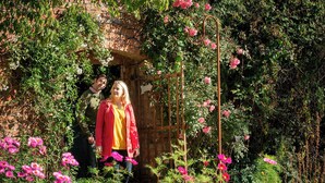 A garden with a brick wall, climbing plants, and pink flowers. - Ballyscullion Park Courtyard Cottages (Magherafelt)