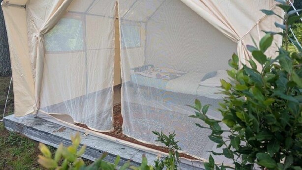 A tent with a mesh screen, set on a wooden platform, surrounded by greenery. - CABIN TENT ON WORKING RANCH NEAR BETHEL WOODS (Parksville)