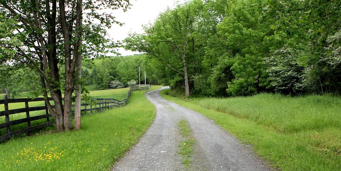 A rural road flanked by trees and a wooden fence.