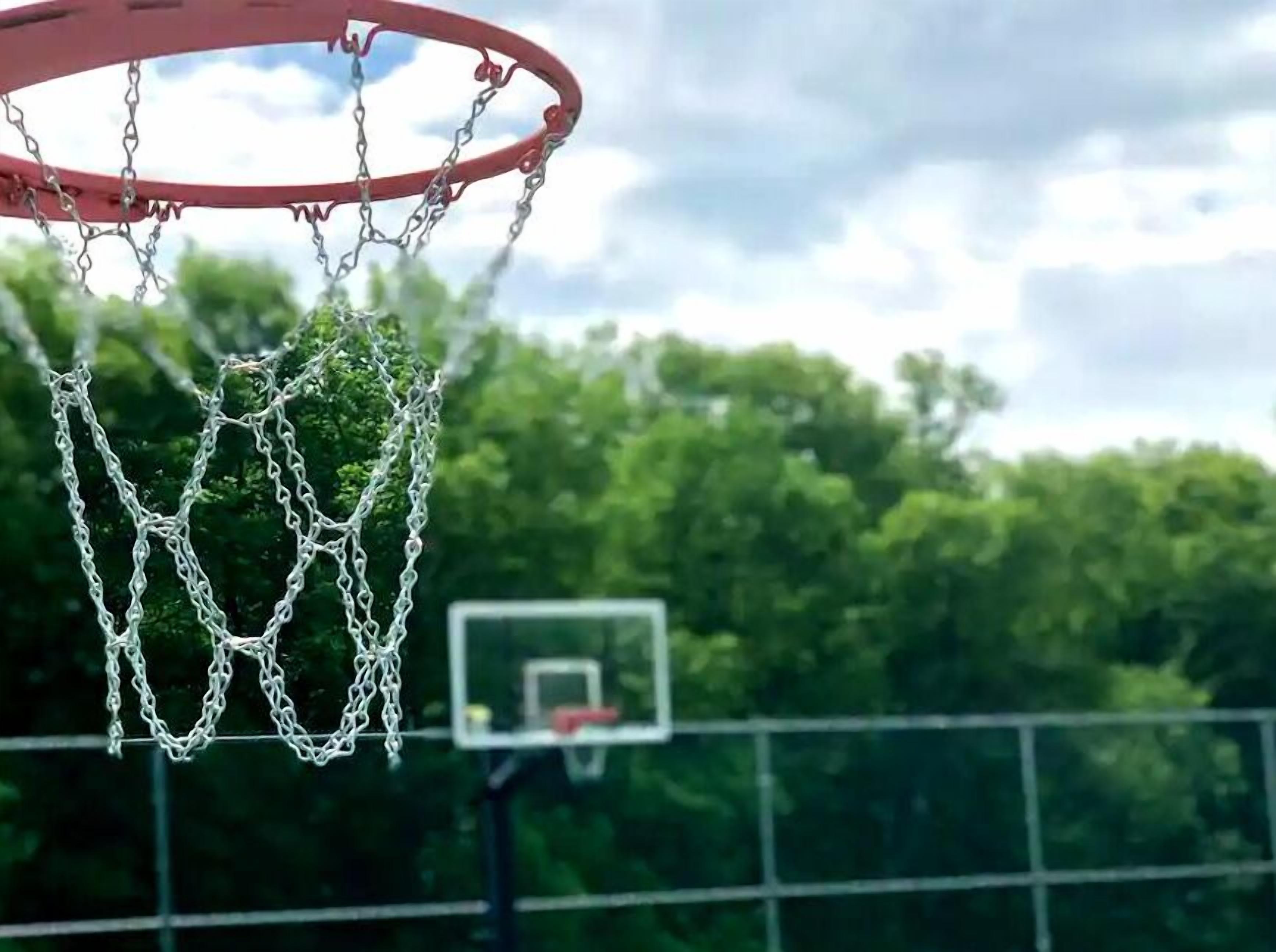Un panier de basket avec un filet en chaîne, placé sur un fond de arbres et d’un ciel nuageux.