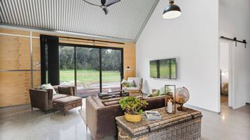 Smart TV, chimenea y libros