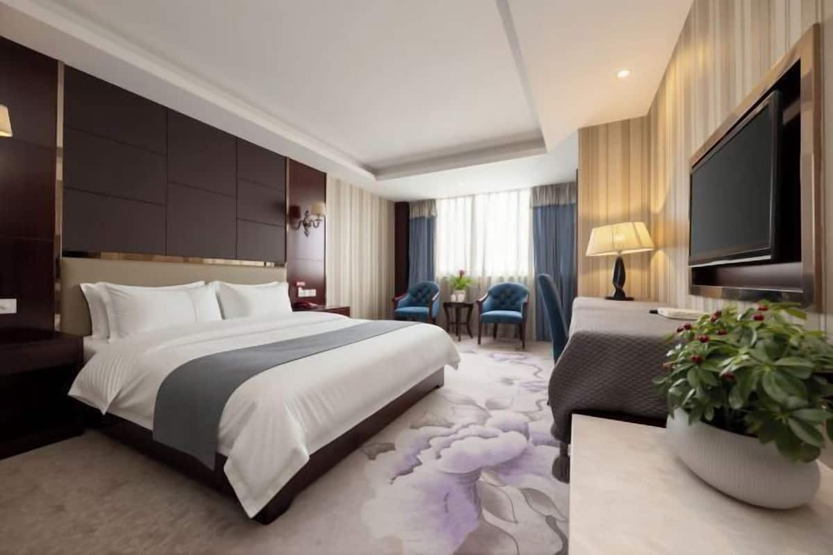 Una habitación de hotel con cama, televisión, escritorio, dos sillas y una planta.