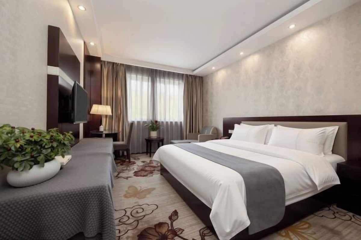 Habitación de hotel con una cama, televisión, escritorio con lámpara, planta y ventana con cortinas.