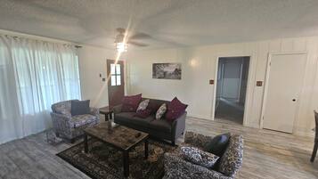 Smart TV, fireplace, books