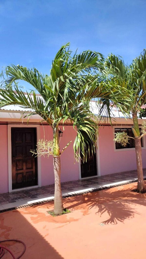Un edificio con paredes rosadas, una entrada con azulejos y dos palmeras en primer plano.