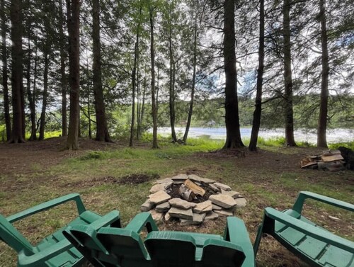 Peaceful and Private A-frame in the woods, not far from Elk Mountain Ski Resort!