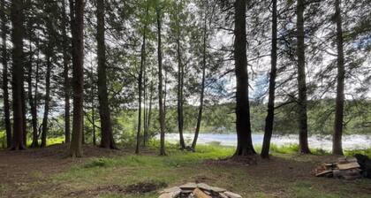 Peaceful and Private A-frame in the woods, not far from Elk Mountain Ski Resort!