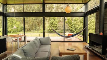 Smart TV, chimenea