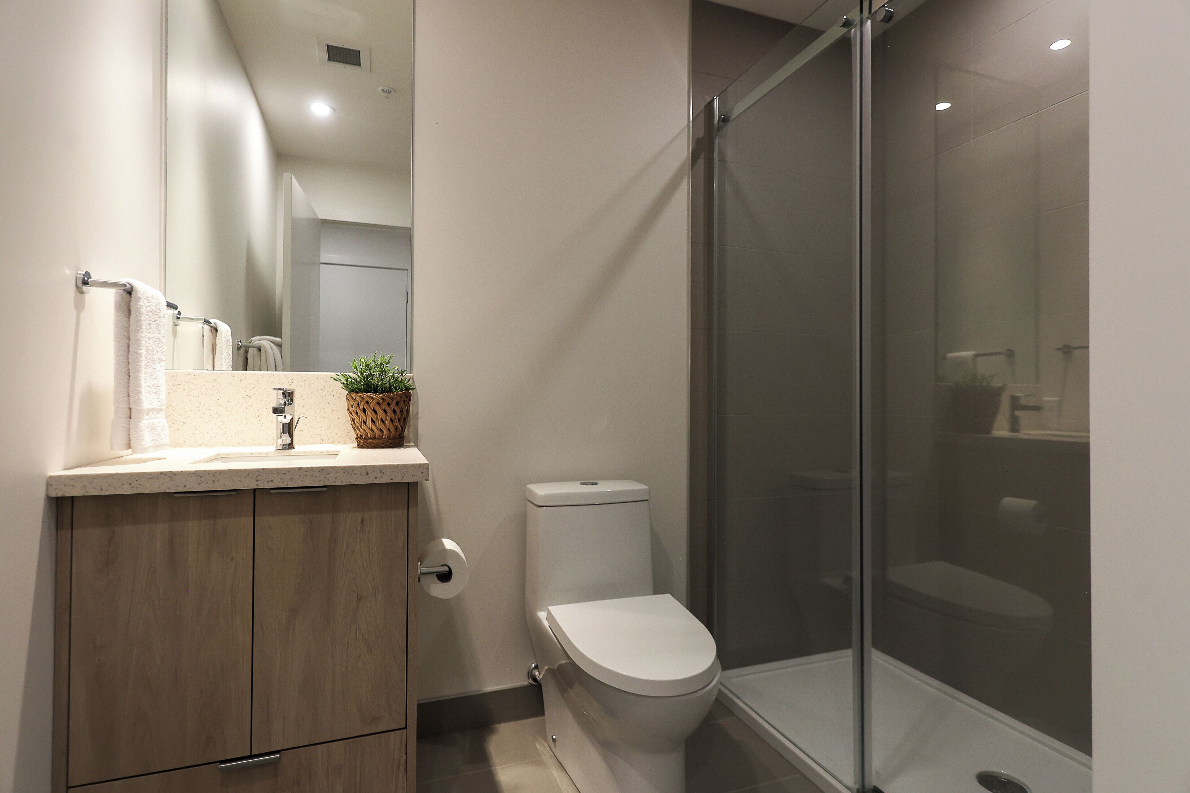 A modern bathroom with a shower enclosure, a toilet, and a vanity with a mirror.