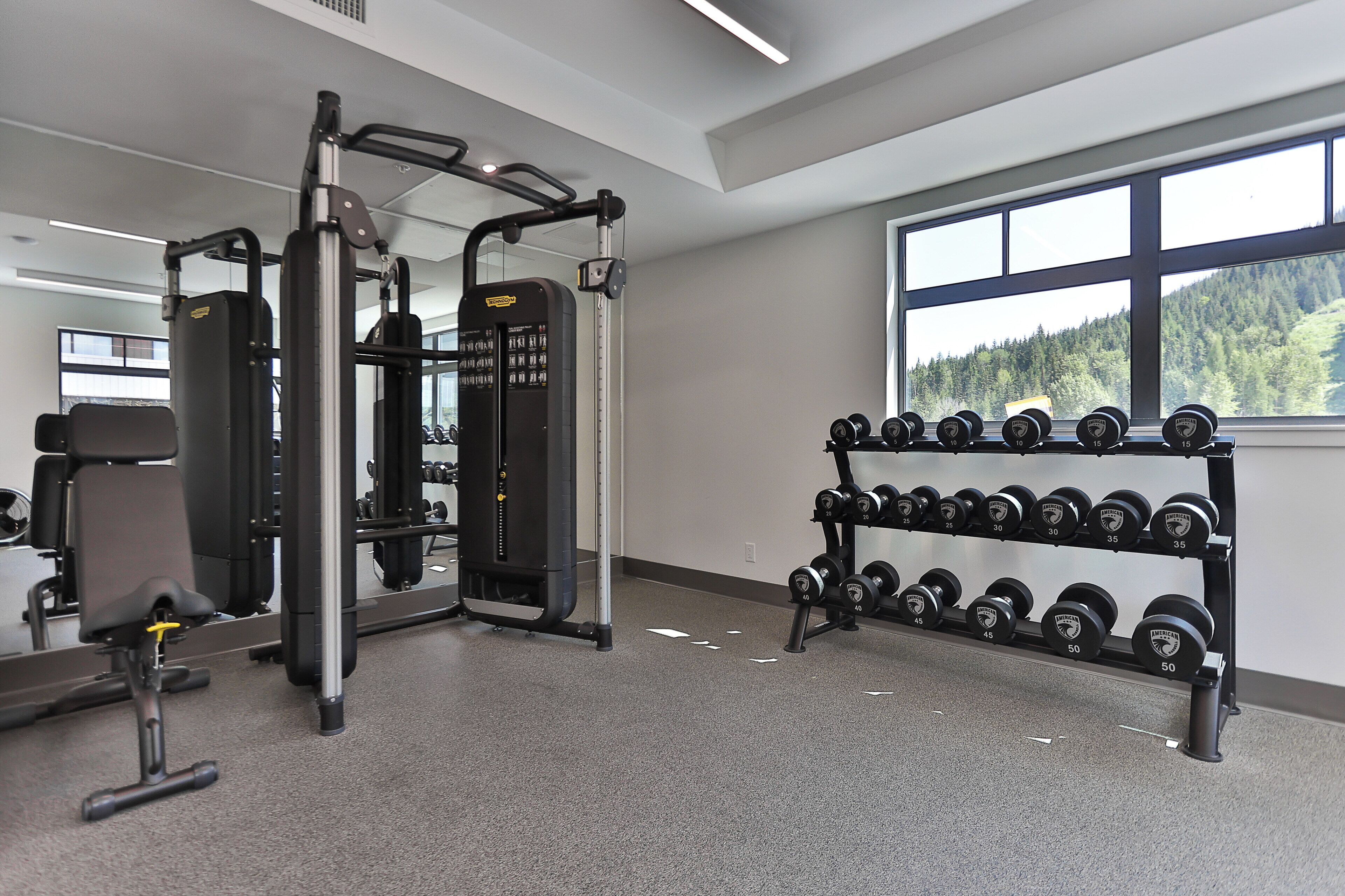 A gym with weightlifting equipment and a rack of dumbbells.
