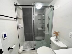Douche, séchoir à cheveux, serviettes fournies, savon