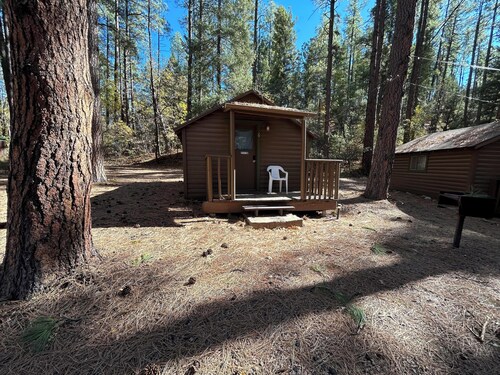 Cabin #6 - Studio - No Fireplace