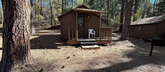 Cabin #6 - Studio - No Fireplace