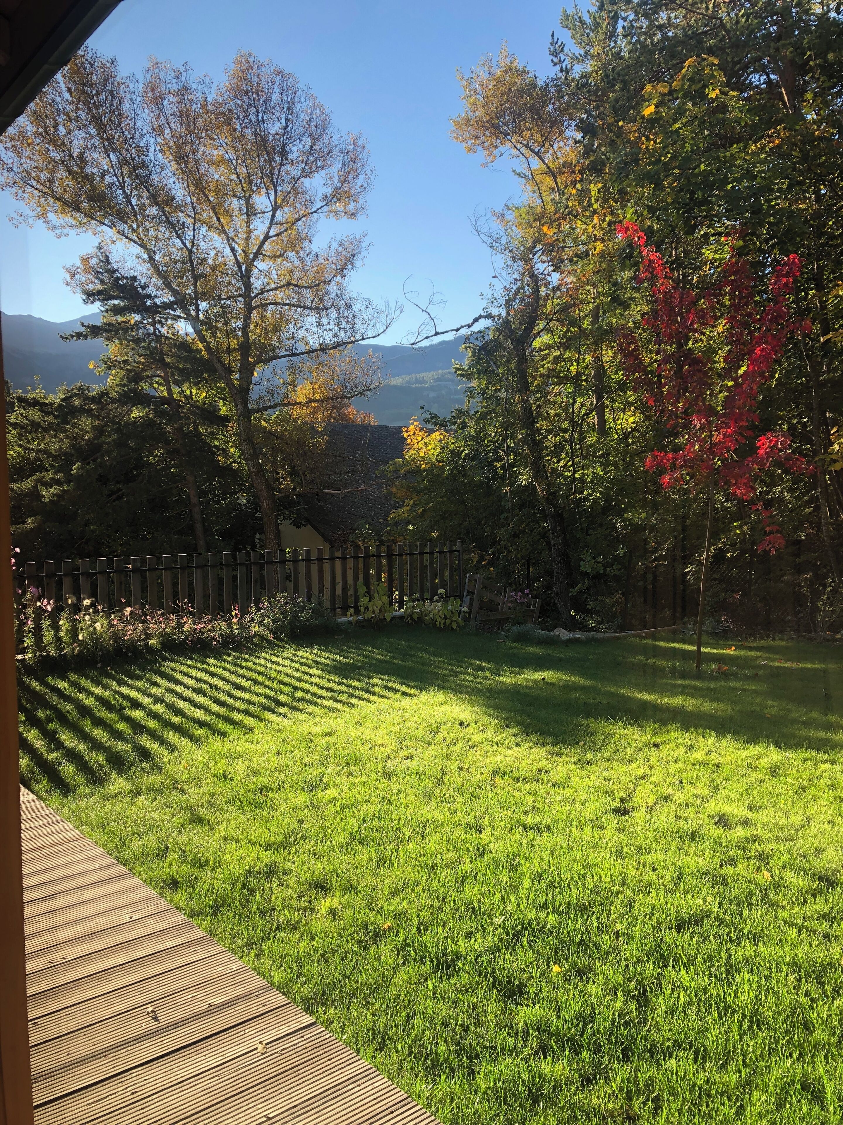 Un prato curato con un patio in legno, circondato da alberi con foglie autunnali e una recinzione di legno.