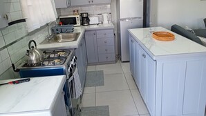 A compact kitchen with a gas stove, microwave, toaster, and refrigerator. - Charming 2-bedroom apartment with WiFi, AC in lovely St David's
 (Saint David)