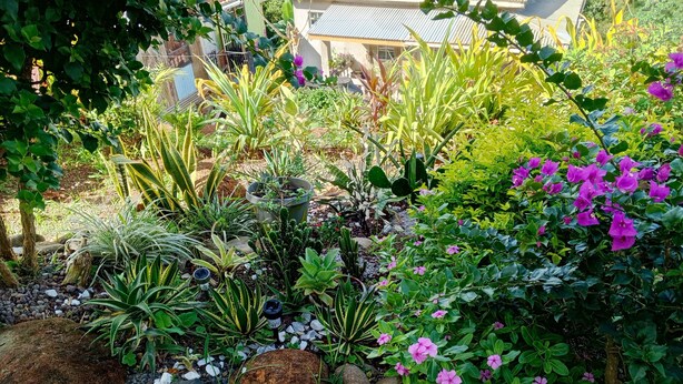 A garden with various plants, rocks, and a small water feature. - Charming 2-bedroom apartment with WiFi, AC in lovely St David's
 (Saint David)