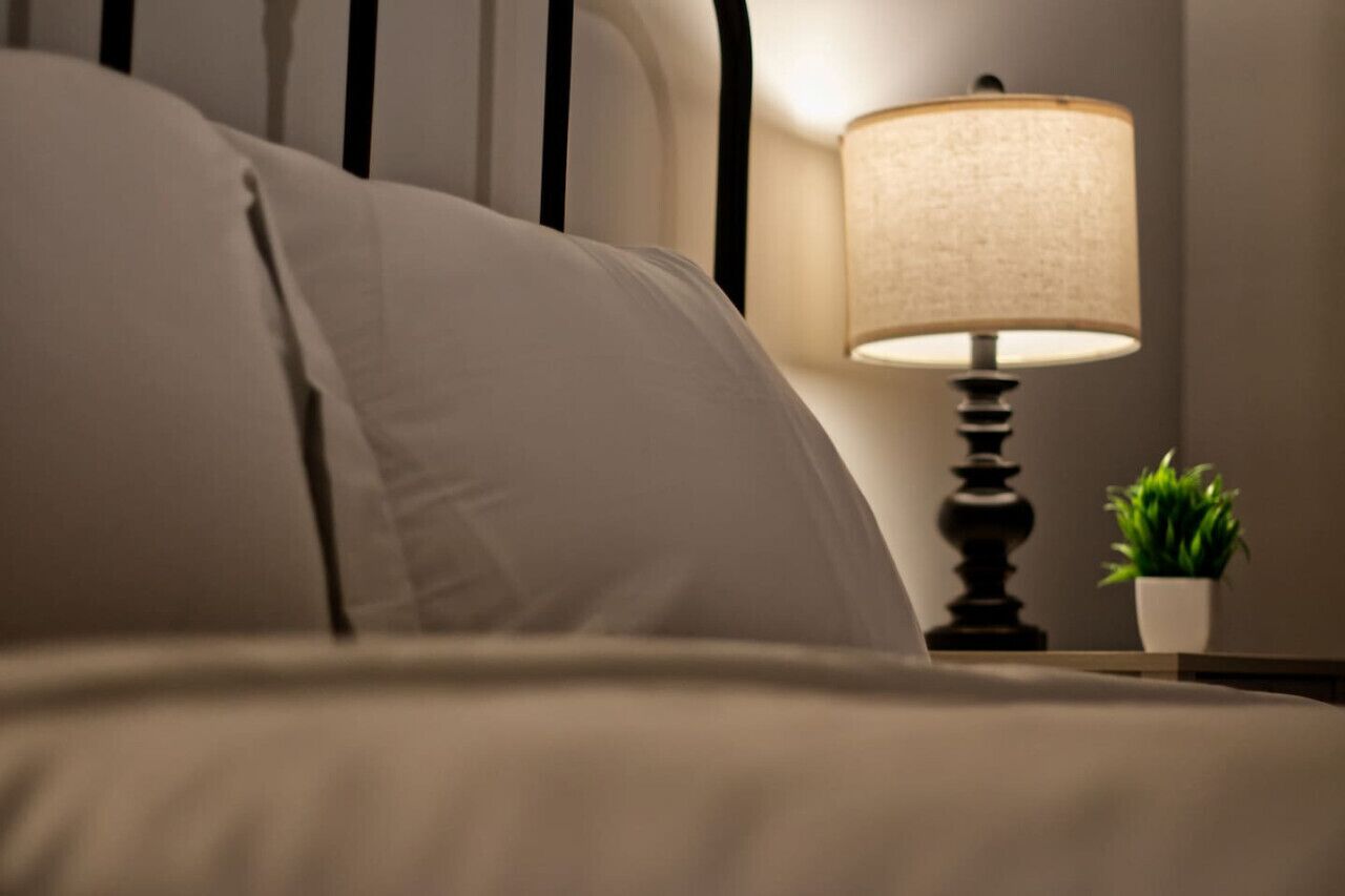 A bed with a pillow and a bedside table with a lamp and a small plant.