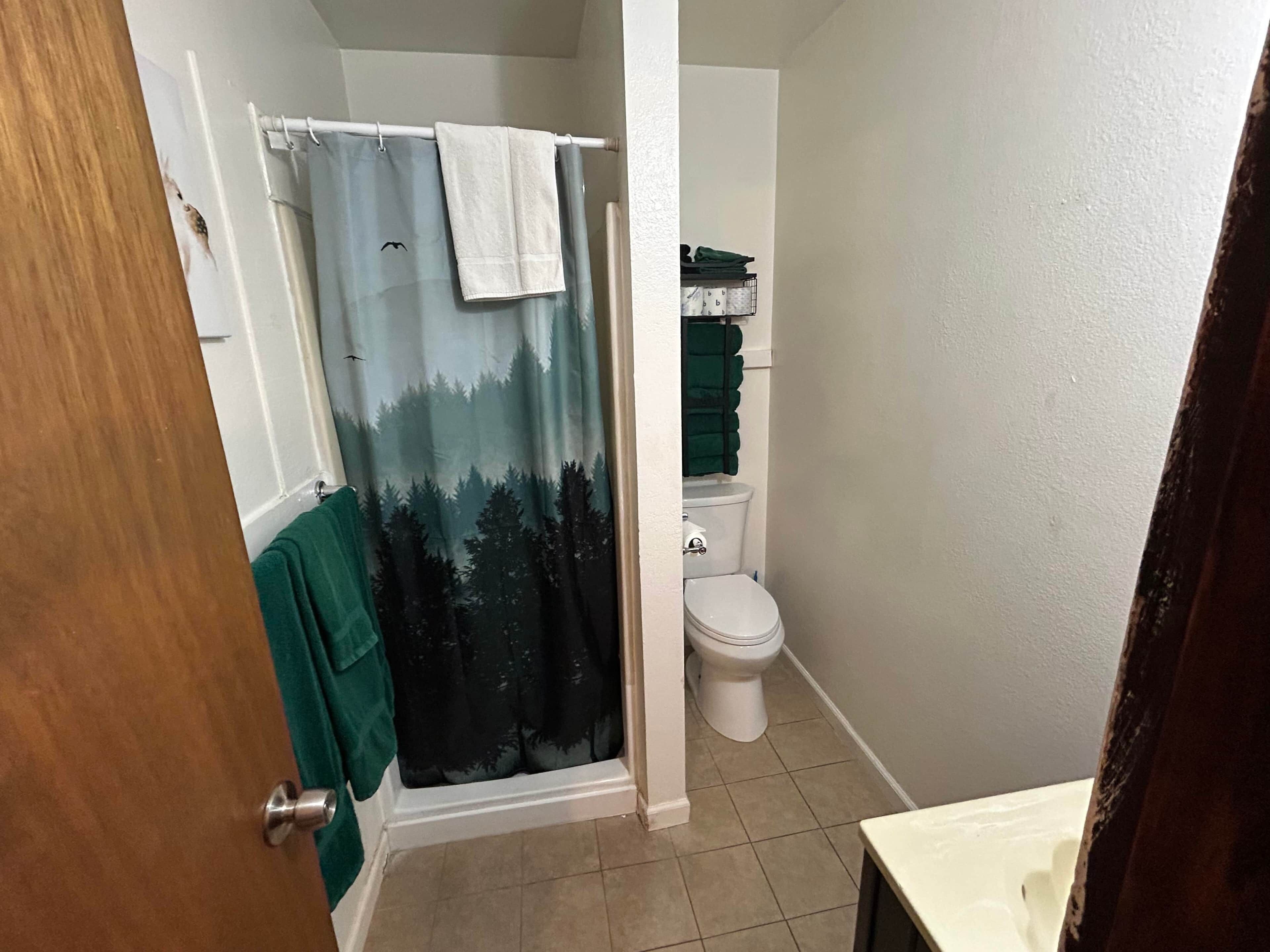 Une salle de bain avec un rideau de douche, des toilettes et un porte-serviettes.