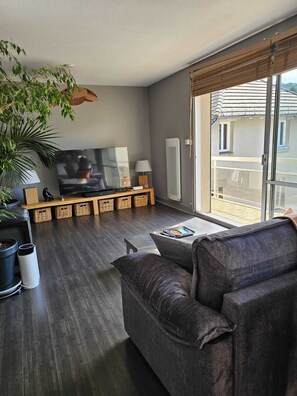 Smart TV, computer monitors