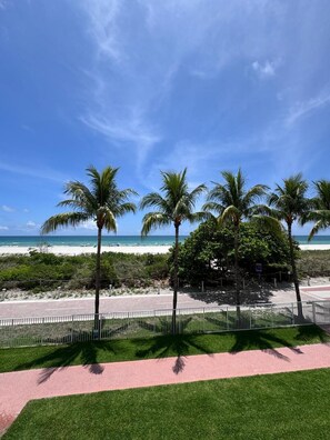 A beach view with palm trees, a clear sky, and a paved walkway.