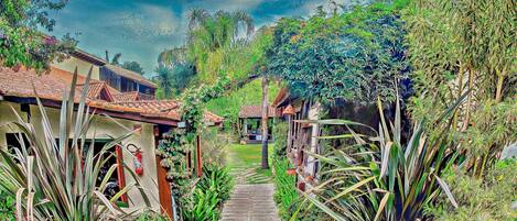 A pathway leading to a building surrounded by tropical plants.