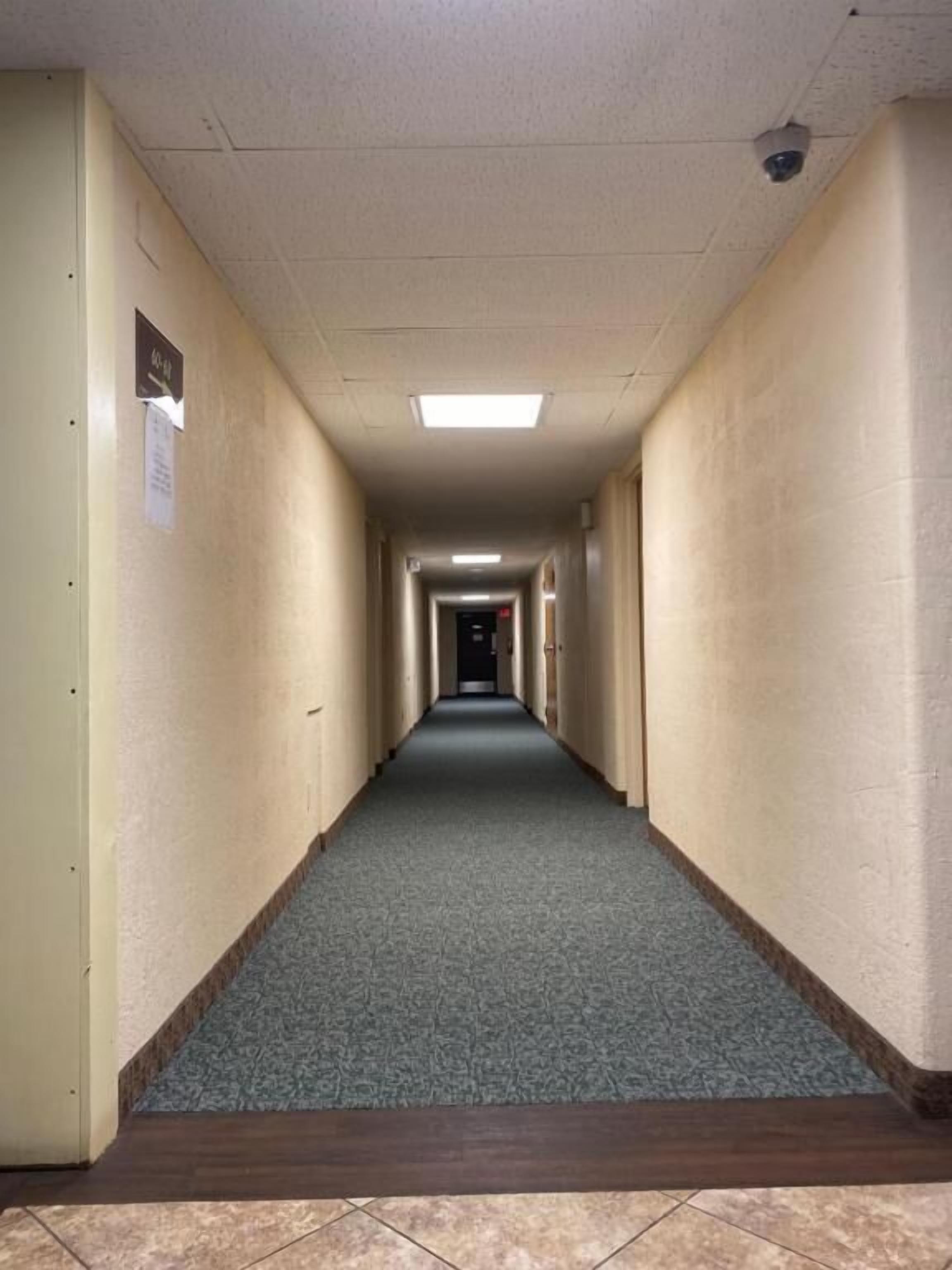 Un largo pasillo estrecho con paredes color beige y una alfombra estampada.