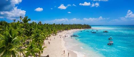 Plage à proximité, chaises longues, serviettes de plage