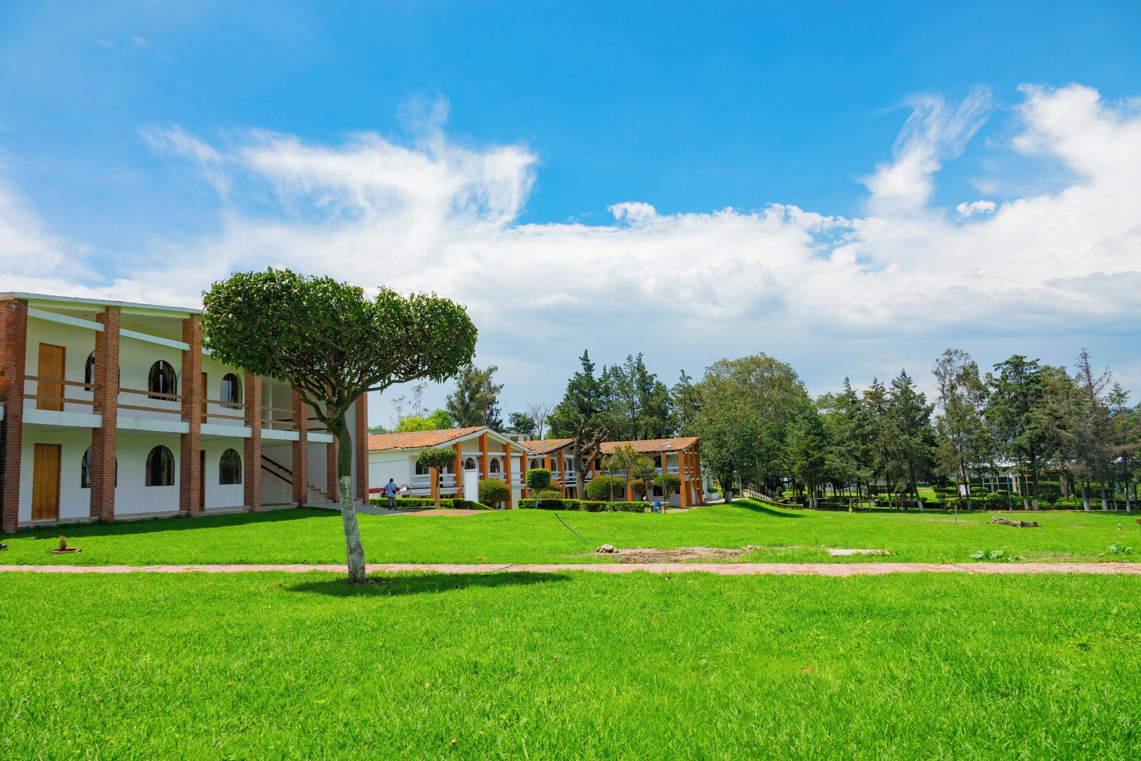 Vista desde la habitación