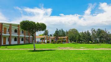 Vista desde la habitación