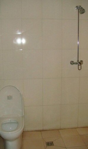 Une salle de bain avec des toilettes et une douche.