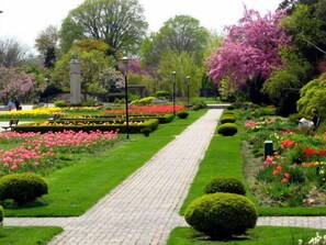A garden with a paved walkway, neatly trimmed hedges, and flowering plants. - Affordable Downtown Private Room in a House (Ferdowsi) (Windsor)