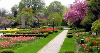 Affordable Downtown Private Room in a House (Ferdowsi)