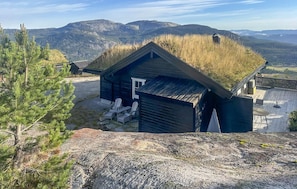 Exterior - 3 bedroom nice home in Vrådal (Vrådal)