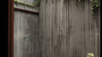 A modern outdoor space with a concrete wall, a small water feature, and a potted plant.