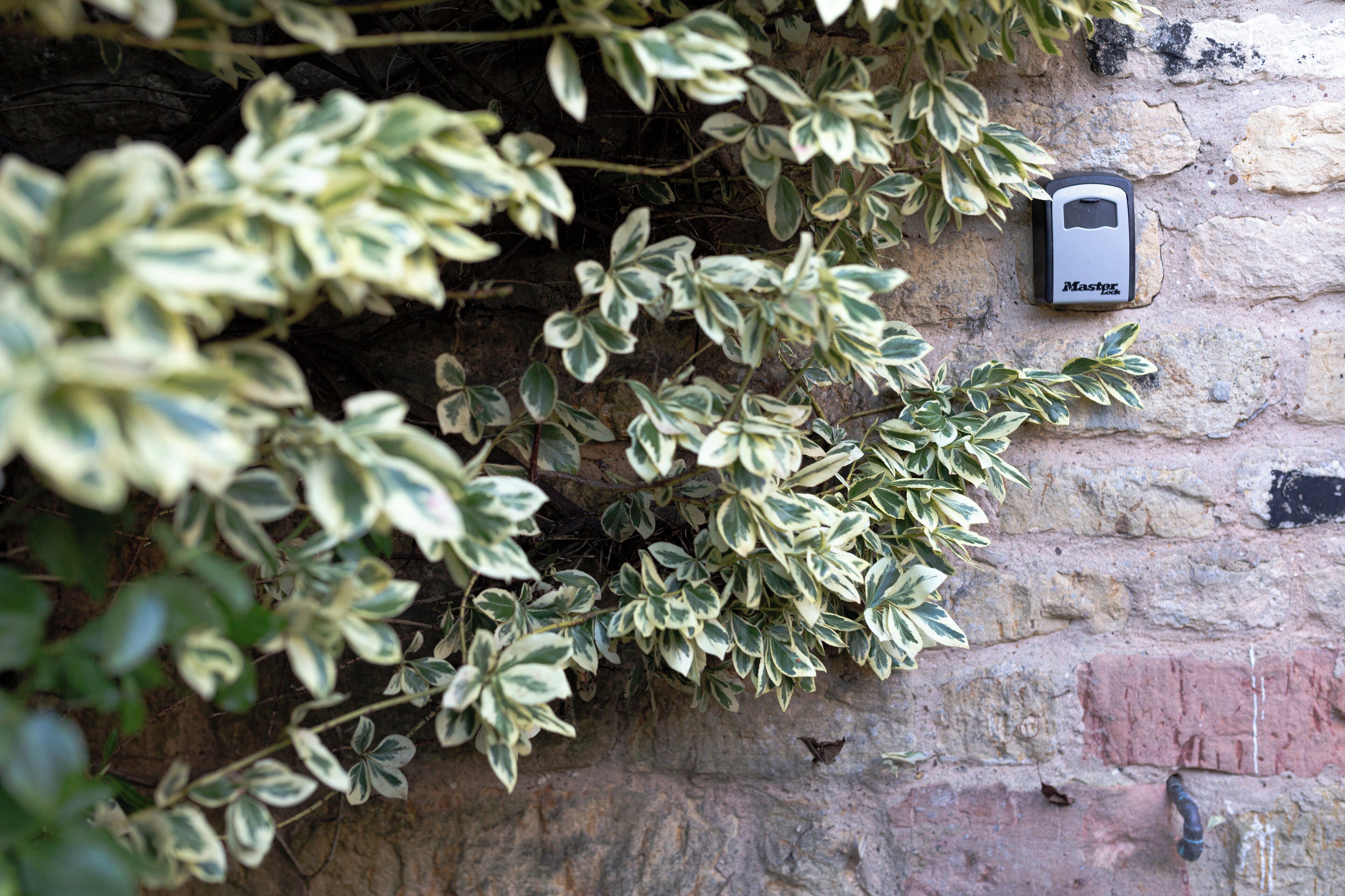 A wall-mounted device, possibly a security or control panel, next to a brick wall with climbing plants.