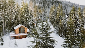 A cabin surrounded by snow-covered trees and a mountain in the background.