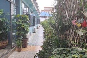 Un pasillo estrecho con plantas en macetas y una valla de bambú.