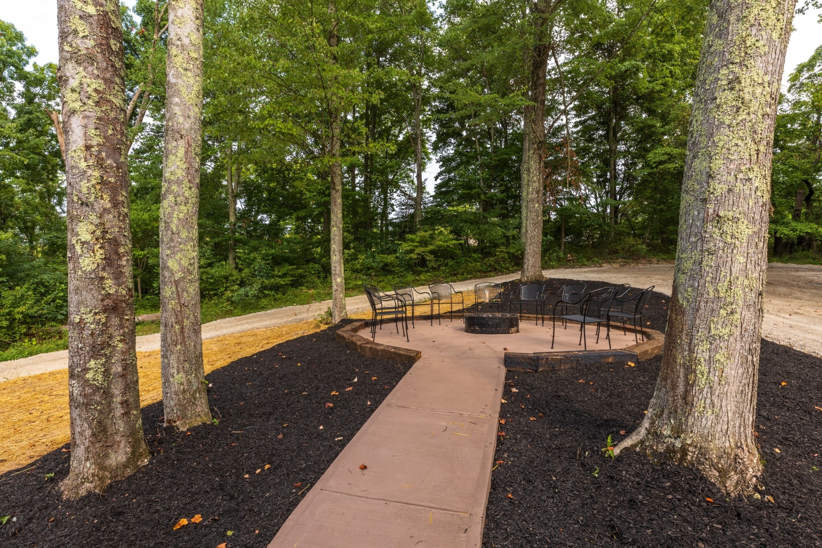 An outdoor seating area with a concrete path, surrounded by trees and black mulch.