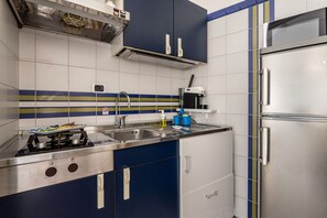 Kühlschrank, Mikrowelle, Herdplatte, Kochgeschirr/Geschirr/Besteck