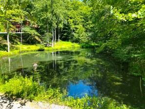 Ein friedlicher Teich, umgeben von üppigem Grün und Bäumen.