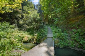 A narrow concrete path leading to a rustic house surrounded by dense greenery and a small stream.