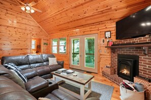 TV, fireplace, DVD player, books