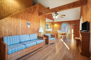 Fireplace, DVD player, books, video library