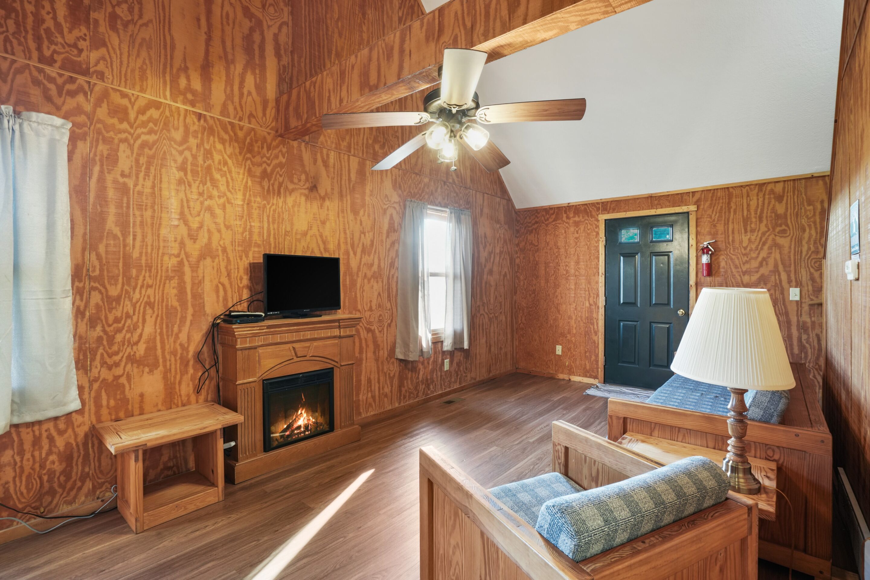Fireplace, DVD player, books, video library